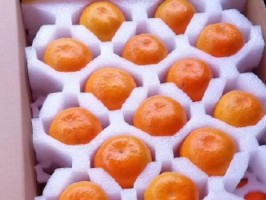Ӧ�ð���